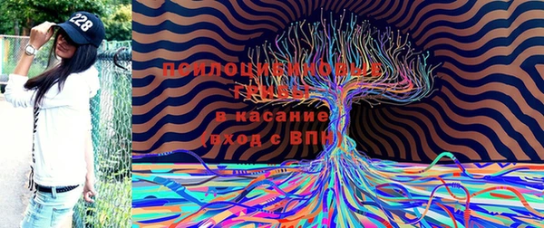 хмурый Карталы