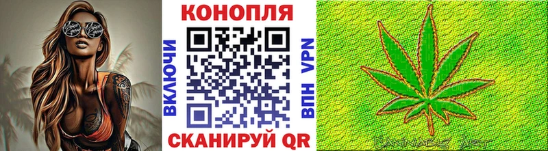 Купить  Хвалынск  Конопля гибрид 